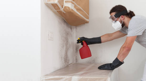 Attic Mold Remediation treatment on roof deck in Luthersburg