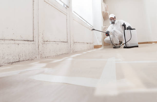 Black mold remediation team in Luthersburg